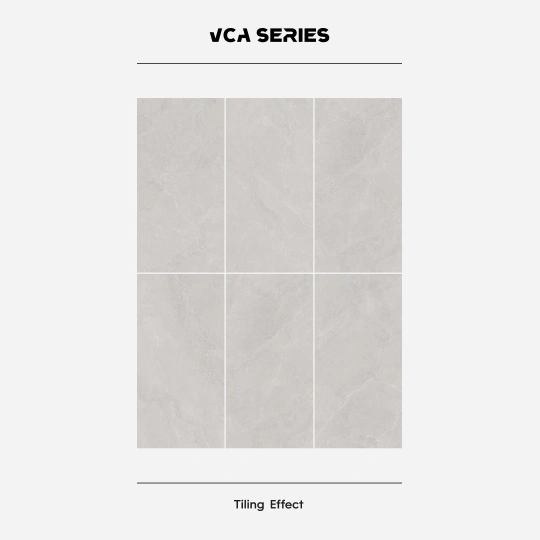 VCA Series_Image 2